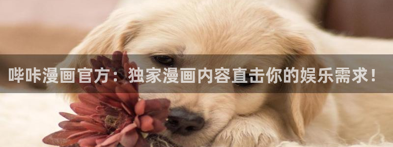 亲亲漫画官网下载